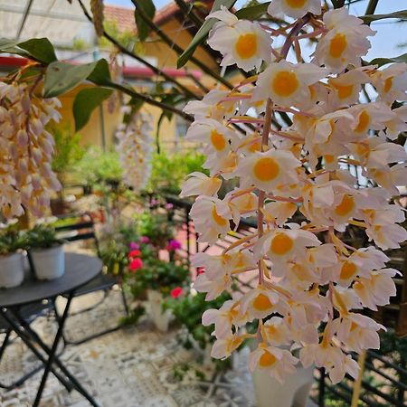 Dang Khoa Garden Inn Homestay Sa Pa Luaran gambar