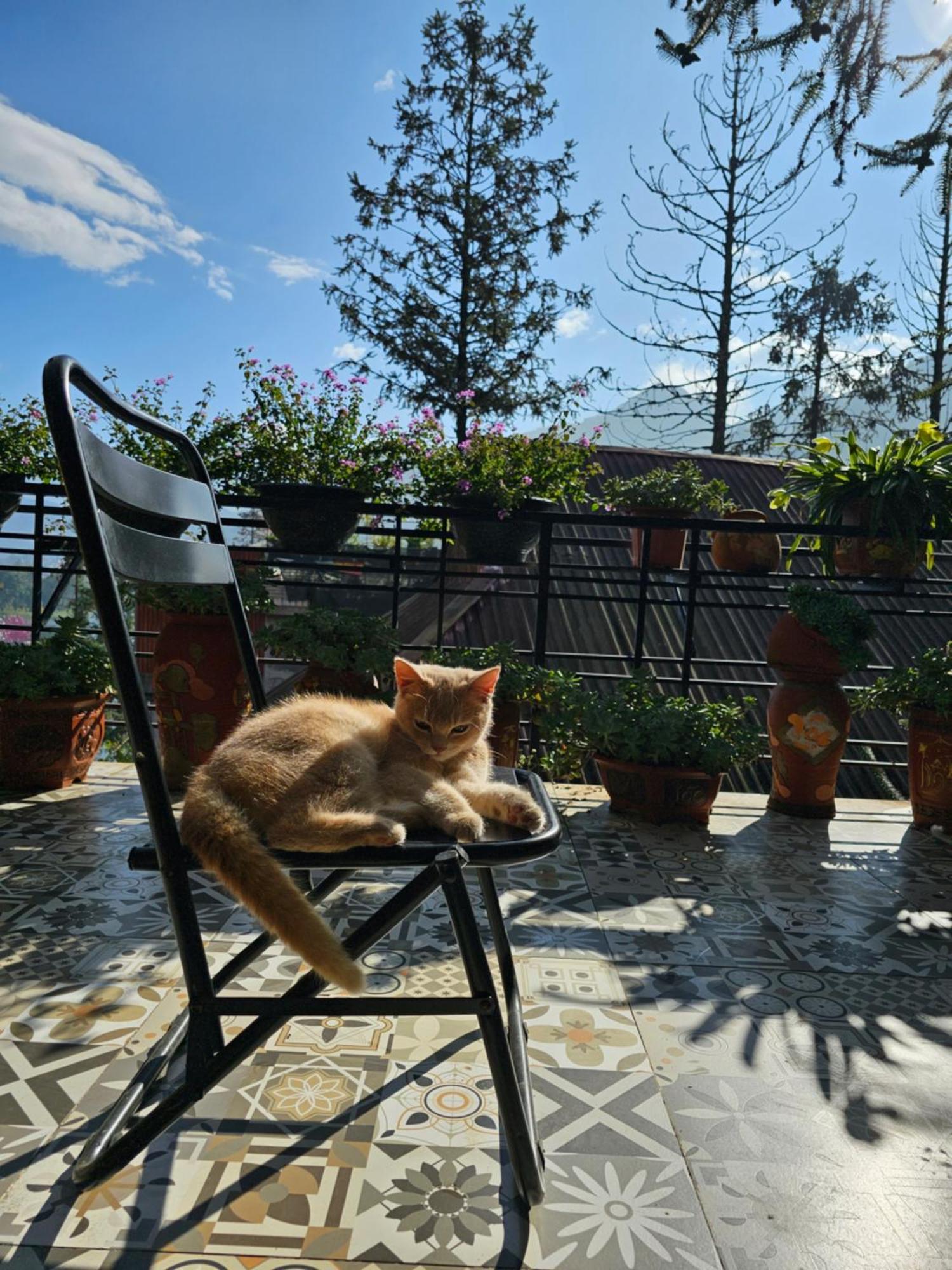 Dang Khoa Garden Inn Homestay Sa Pa Luaran gambar