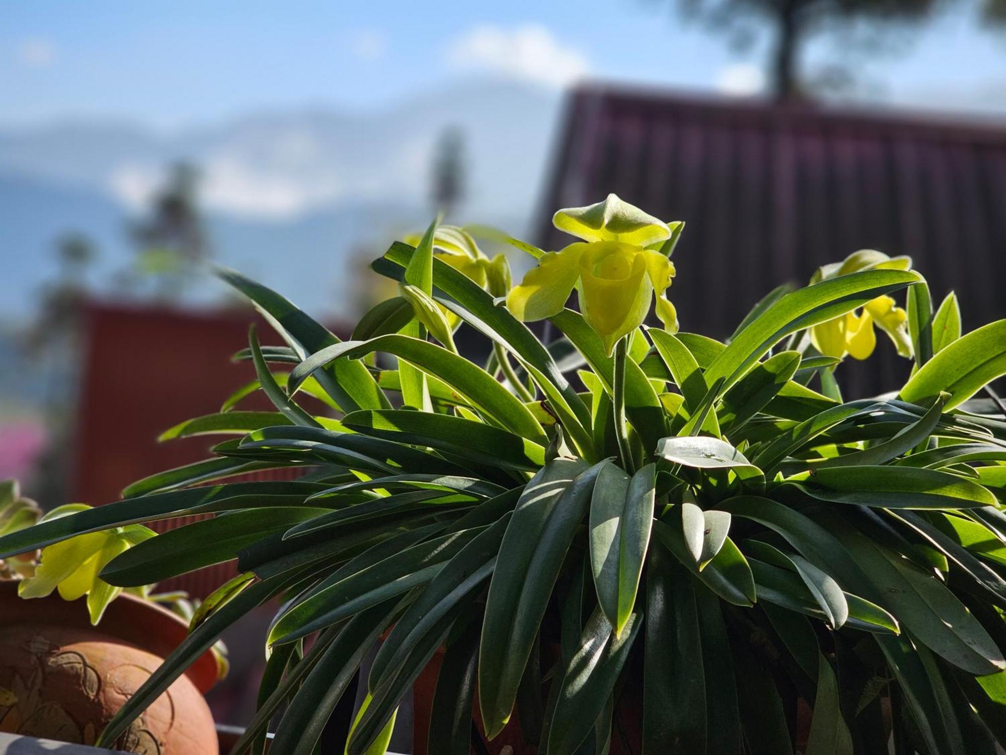 Dang Khoa Garden Inn Homestay Sa Pa Luaran gambar