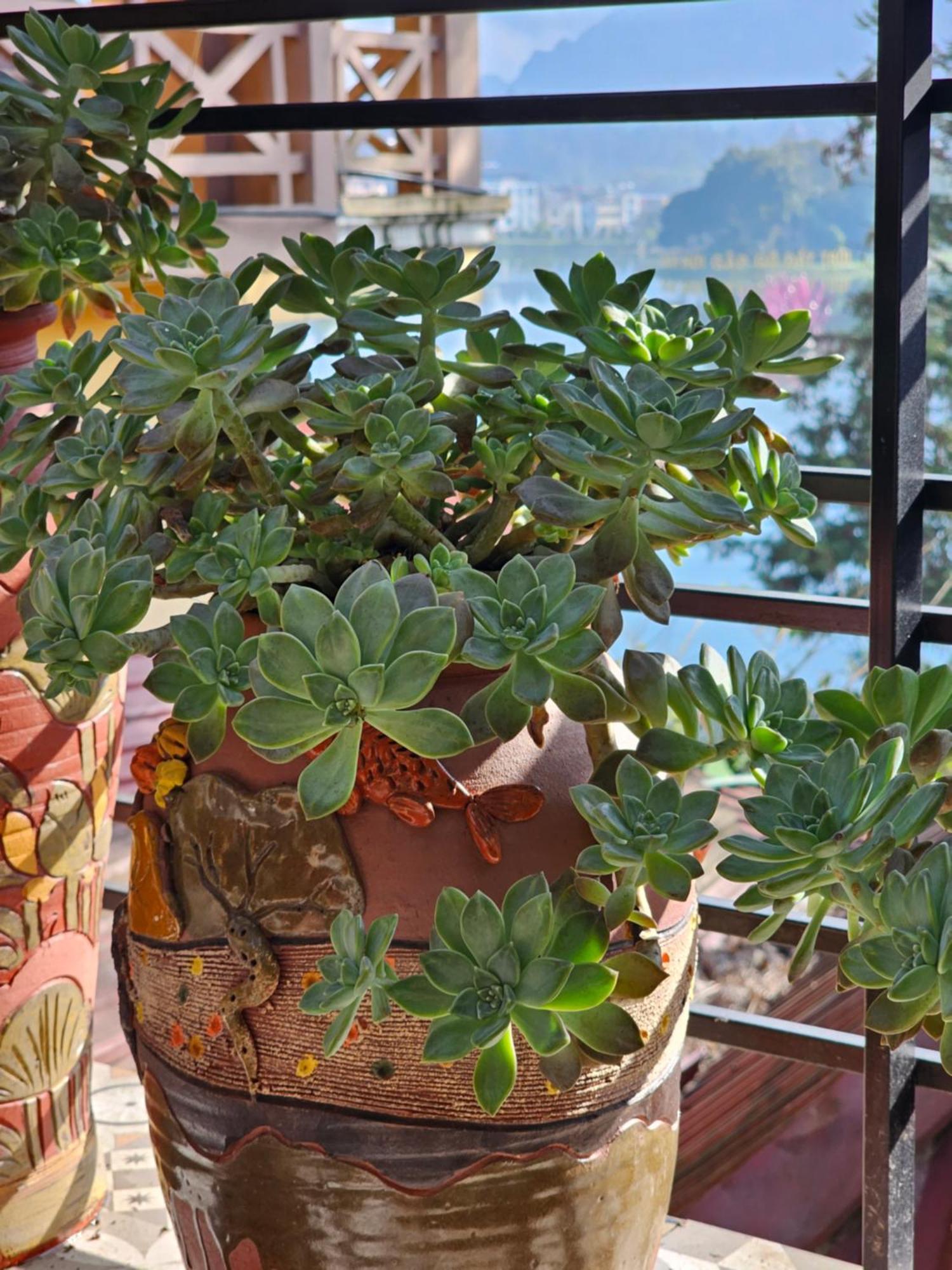 Dang Khoa Garden Inn Homestay Sa Pa Luaran gambar