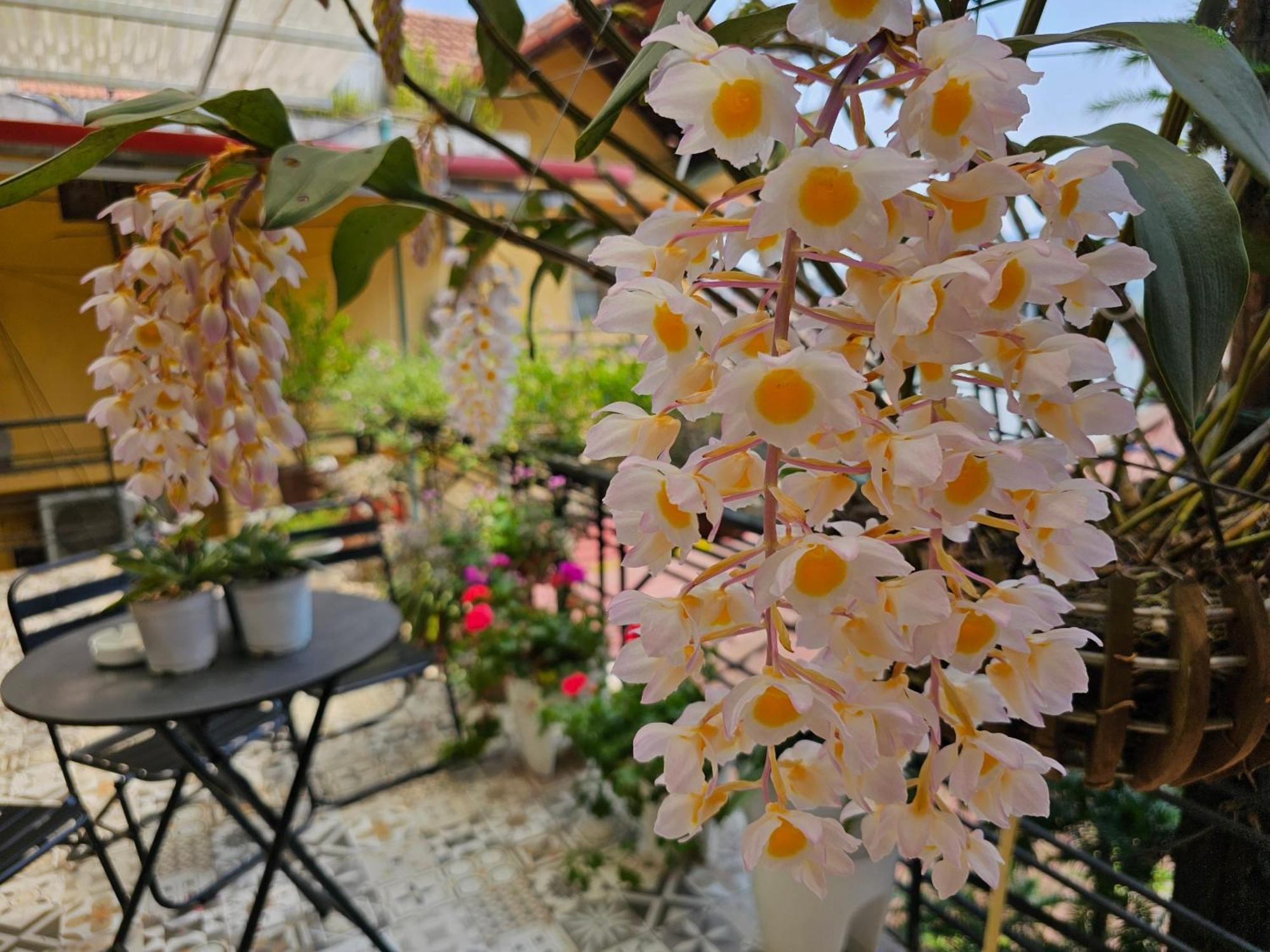 Dang Khoa Garden Inn Homestay Sa Pa Luaran gambar