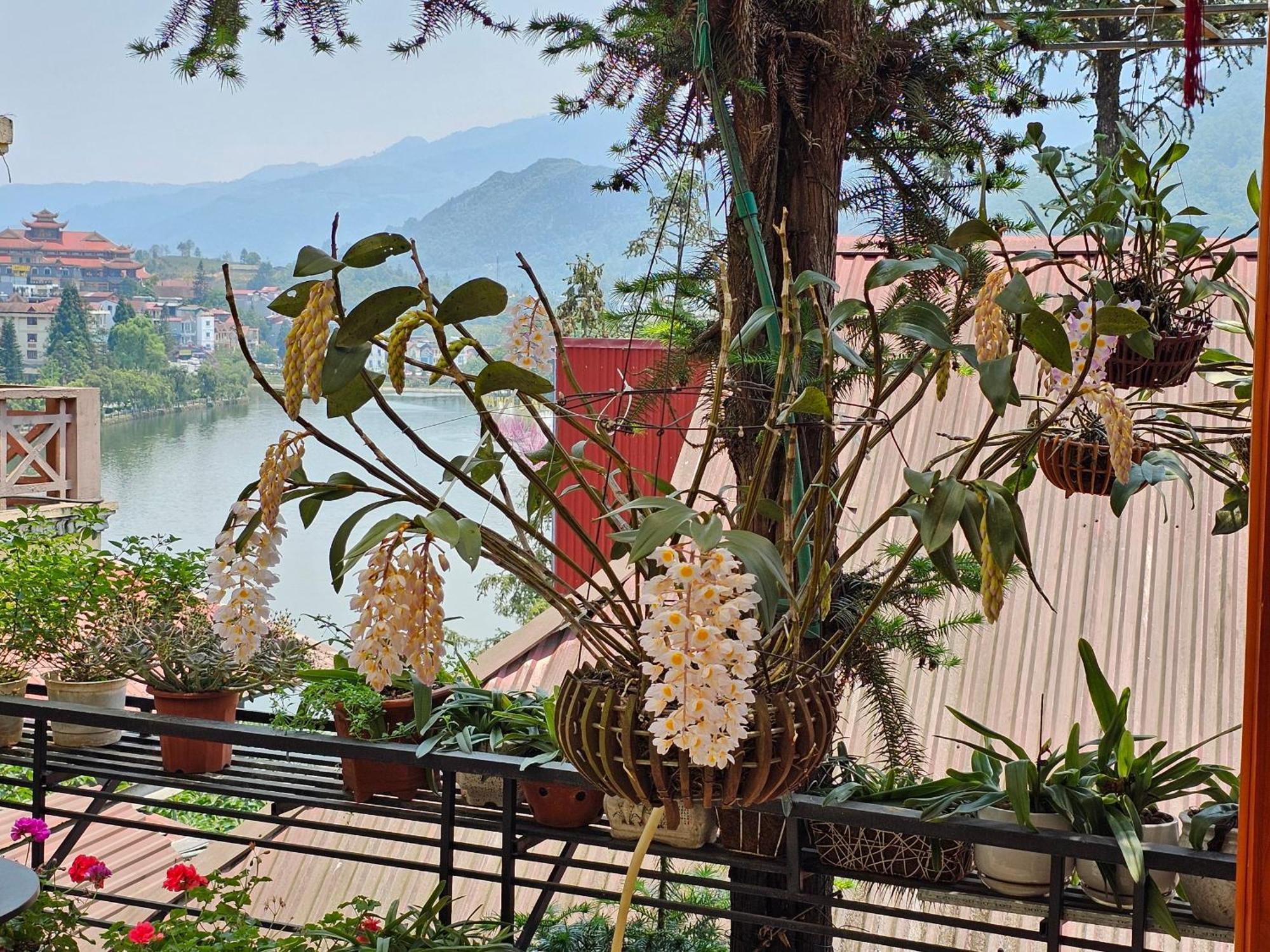 Dang Khoa Garden Inn Homestay Sa Pa Luaran gambar