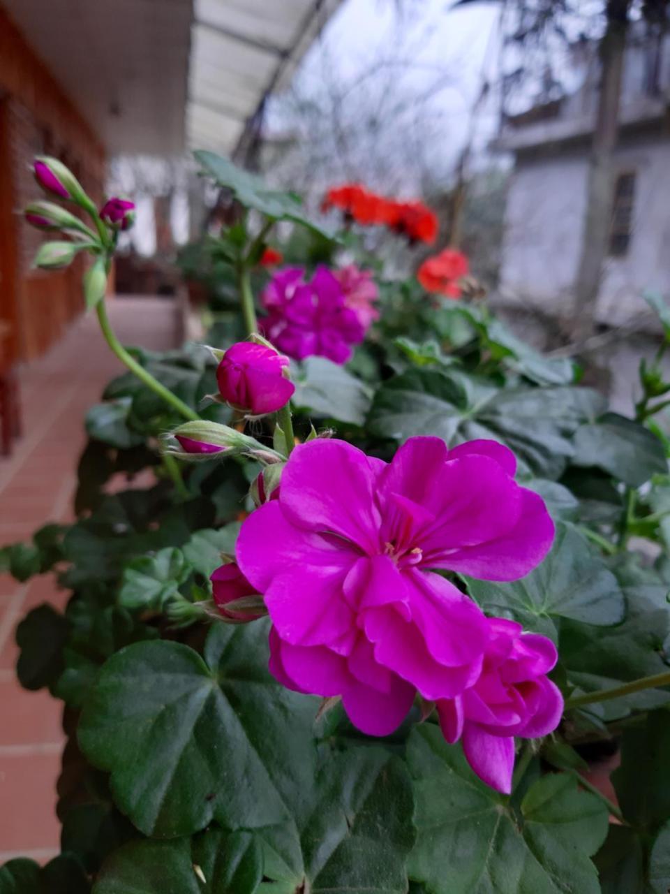 Dang Khoa Garden Inn Homestay Sa Pa Luaran gambar