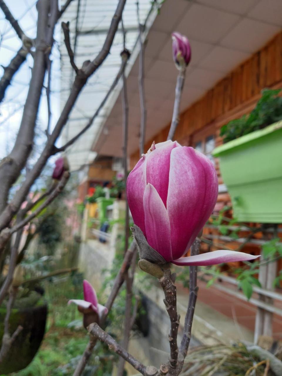 Dang Khoa Garden Inn Homestay Sa Pa Luaran gambar